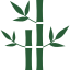 plantas-de-bambu-de-spa